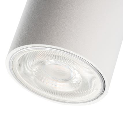 Oprawa punktowa do systemu szynowego ALTEAR 2xGU10/10W/230V 1m biała