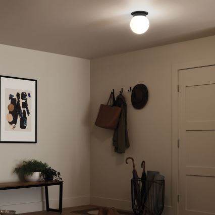 Kichler - Lampa sufitowa ALBERS 1xE27/40W/230V śr. 20,3 cm czarna