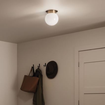 Kichler KL-ALBERS-F-G-CPZ-Lampa sufitowa ALBERS 1xE27/40W/230V śr. 20,3 cm złota