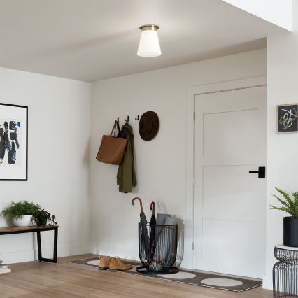 Kichler - Lampa sufitowa ALBERS 1xE27/40W/230V śr. 21,6 cm brązowa