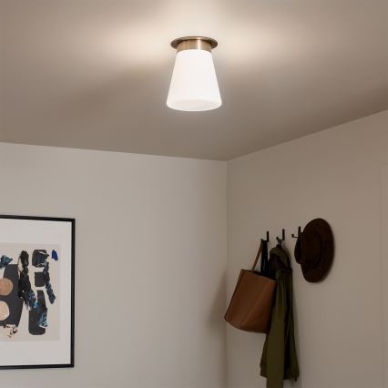 Kichler - Lampa sufitowa ALBERS 1xE27/40W/230V śr. 21,6 cm brązowa