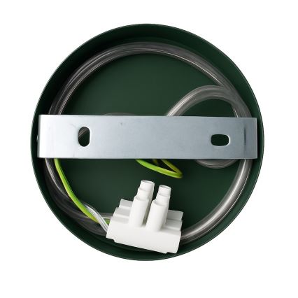 Kinkiet CAPITAL 1xGX53/15W/230V zielony