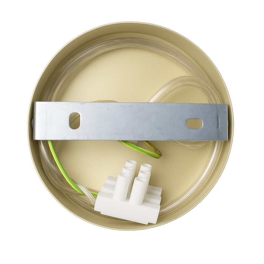 Kinkiet CAPITAL 1xGX53/15W/230V złoty