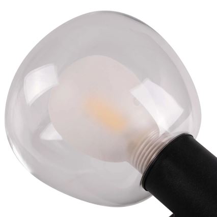 Kinkiet łazienkowy POLA 2xG9/5W/230V IP44 czarny/przezroczysty