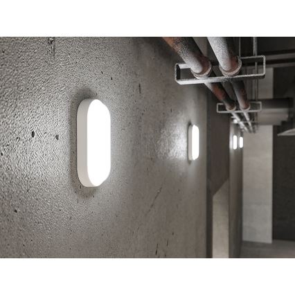 Kinkiet zewnętrzny LED/6W/230V IP54 biały