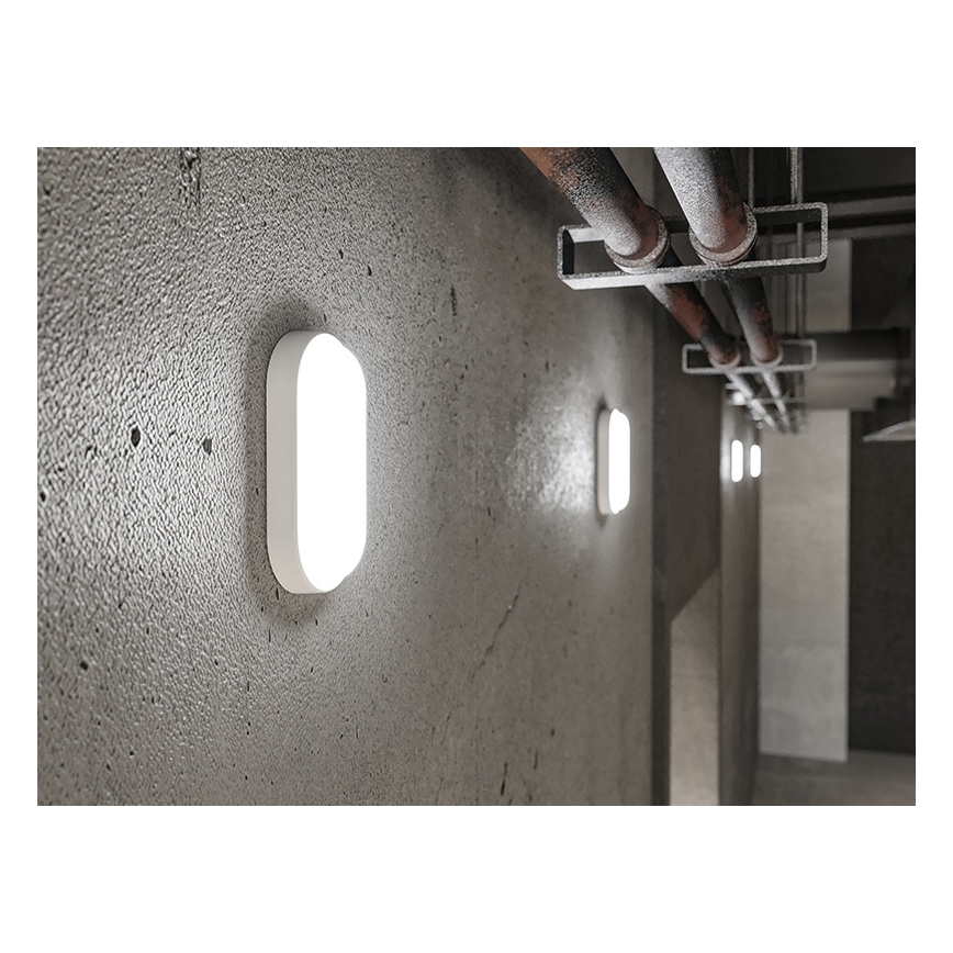 Kinkiet zewnętrzny LED/6W/230V IP54 biały