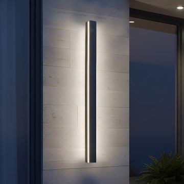 Kinkiet zewnętrzny LED MIRANA 25W/230V 4000K IP44 120 cm czarny