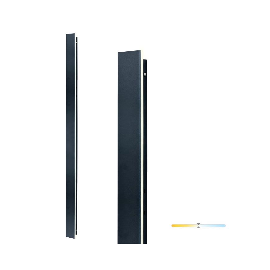 Kinkiet zewnętrzny LED MIRANA 25W/230V 4000K IP44 120 cm czarny