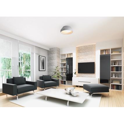 LED Lampa sufitowa PADDY LED/24W/230V biała