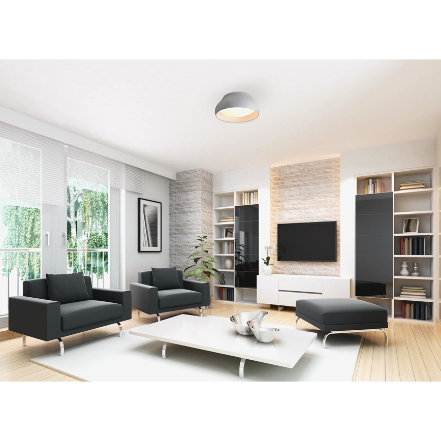 LED Lampa sufitowa PADDY LED/24W/230V biała