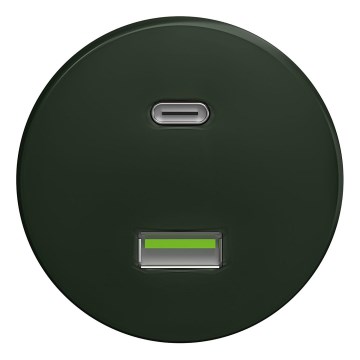 Kliklap - Retro gniazdko USB A+C bez ramki zielone
