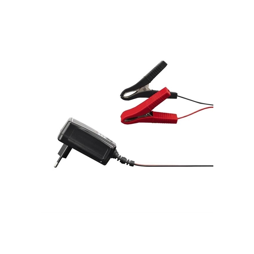 Ładowarka do baterii 1A 230V