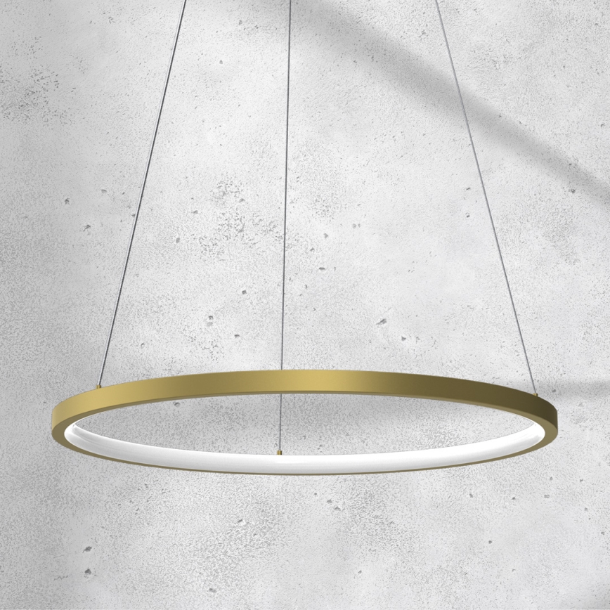 Lampa sufitowa LED na linkach ROTONDA LED/27W/230V złota