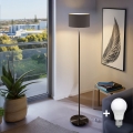 Lampa stojąca LED TUNJA 1xE27/20W/230V Ø 30 cm czarna/brązowa