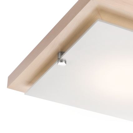 Lampa sufitowa 1xE27/60W/230V buk
