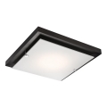 Lampa sufitowa 1xE27/60W/230V sosna