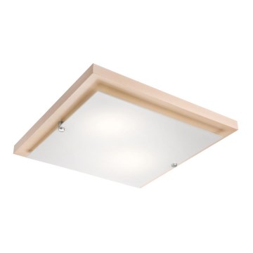 Lampa sufitowa 2xE27/60W/230V - FSC certyfikowano