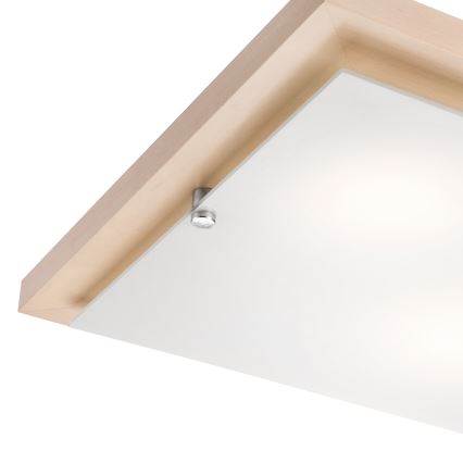 Lampa sufitowa 2xE27/60W/230V buk