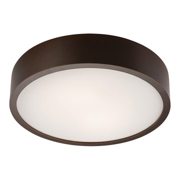 Lampa sufitowa 2xE27/60W/230V sosna