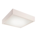 Lampa sufitowa 2xE27/60W/230V sosna