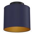 Lampa sufitowa ARDEN 1xE27/15W/230V, śr. 18 cm, niebieska