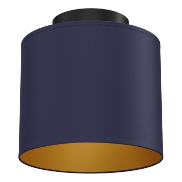 Lampa sufitowa ARDEN 1xE27/15W/230V, śr. 18 cm, niebieska