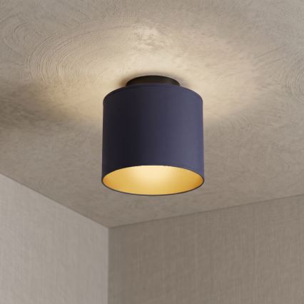 Lampa sufitowa ARDEN 1xE27/15W/230V, śr. 18 cm, niebieska