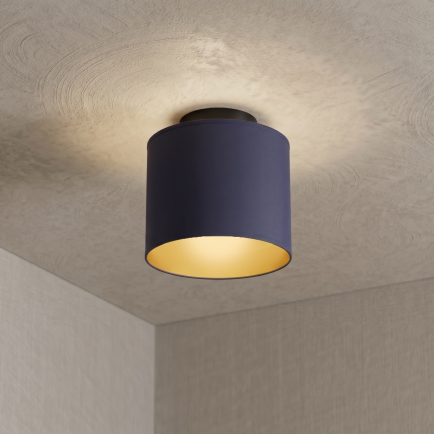 Lampa sufitowa ARDEN 1xE27/15W/230V, śr. 18 cm, niebieska