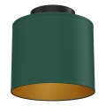 Lampa sufitowa ARDEN 1xE27/15W/230V średnica 18 cm zielona