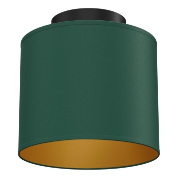 Lampa sufitowa ARDEN 1xE27/15W/230V średnica 18 cm zielona