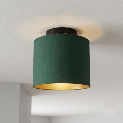 Lampa sufitowa ARDEN 1xE27/15W/230V średnica 18 cm zielona