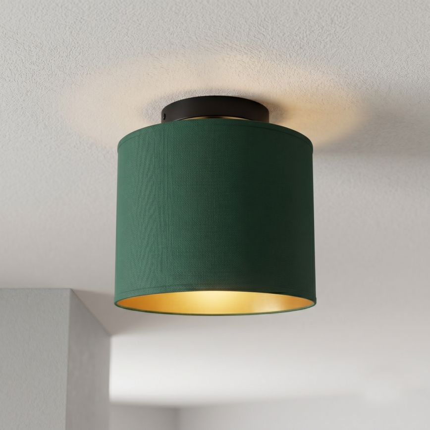 Lampa sufitowa ARDEN 1xE27/15W/230V średnica 18 cm zielona