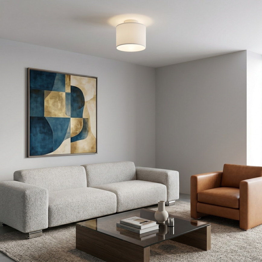 Lampa sufitowa ARDEN 1xE27/15W/230V Ø 18 cm biała