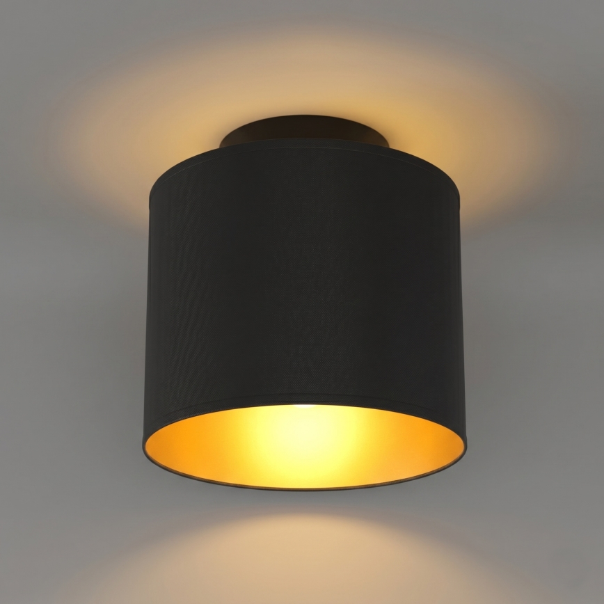 Lampa sufitowa ARDEN 1xE27/15W/230V Ø 18 cm czarna