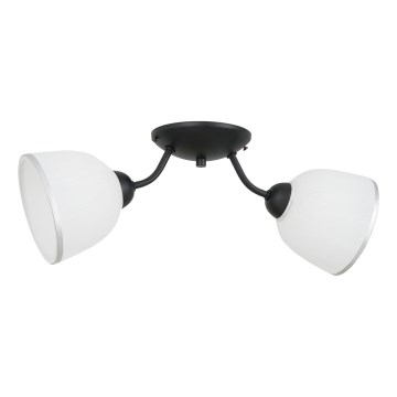 Lampa sufitowa AVIA 2xE27/60W/230V
