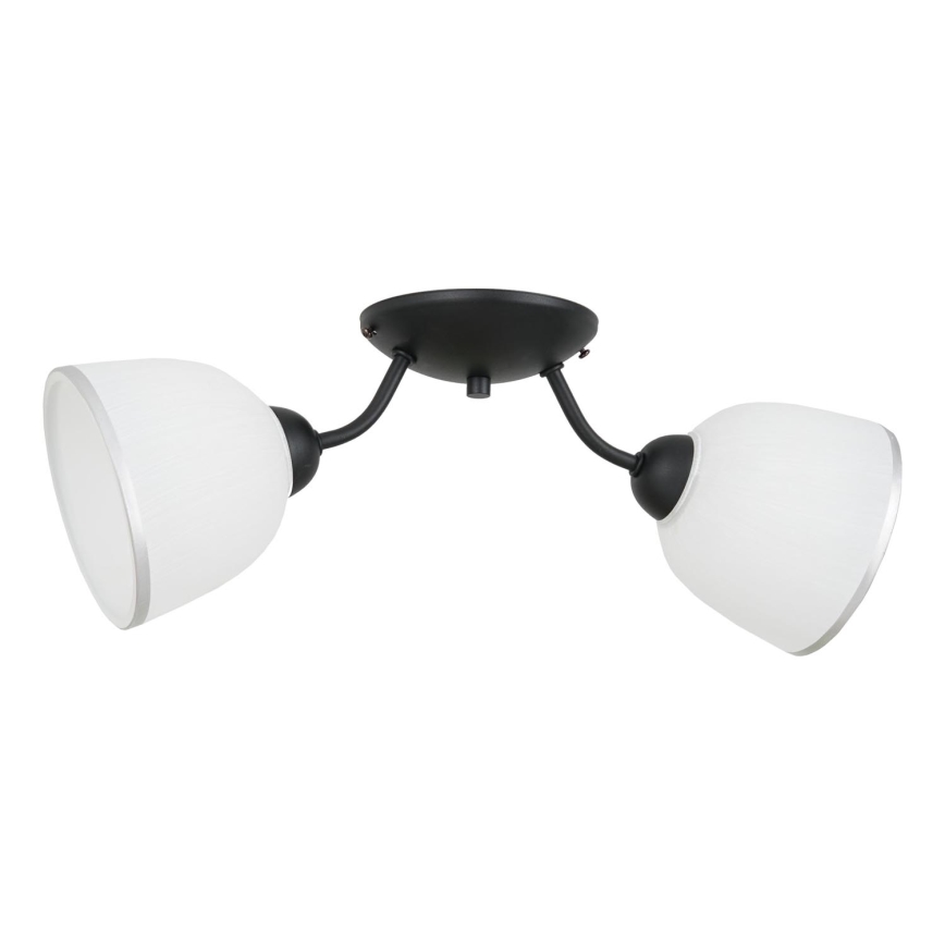 Lampa sufitowa AVIA 2xE27/60W/230V