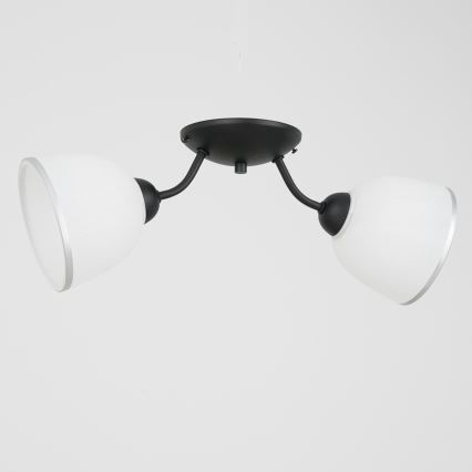 Lampa sufitowa AVIA 2xE27/60W/230V