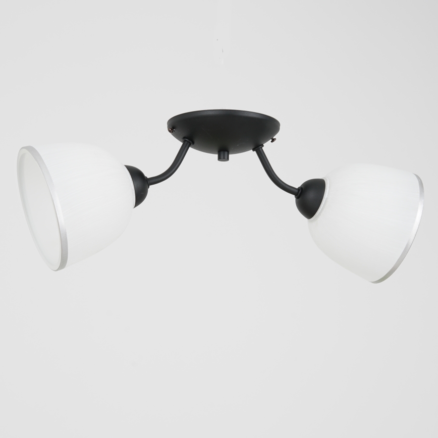 Lampa sufitowa AVIA 2xE27/60W/230V