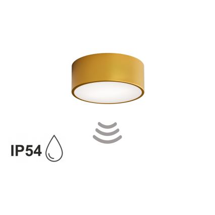 Lampa sufitowa do łazienki CLEO z czujnikiem, 1x E27/24W/230V, Ø20 cm, IP54, złota