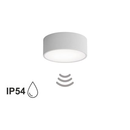 Lampa sufitowa do łazienki z czujnikiem CLEO 1xE27/24W/230V, średnica 20 cm, IP54, szara