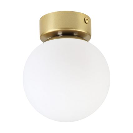 Lampa sufitowa ELIAS 1xE14/5W/230V śr. 13 cm złota/biała