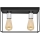 Lampa sufitowa FINN 2xE27/15W/230V czarna/chrom