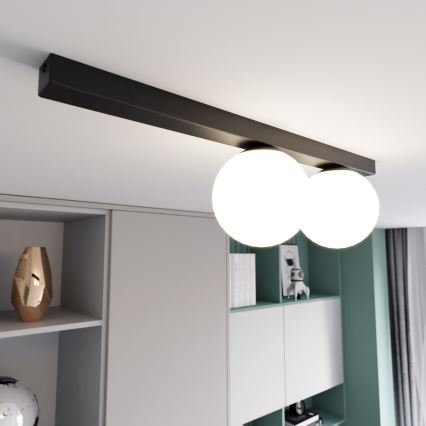 Lampa sufitowa FIT 2xE14/10W/230V czarne/białe