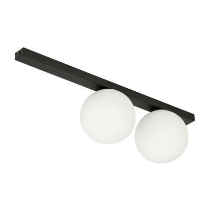 Lampa sufitowa FIT 2xE14/10W/230V czarne/białe