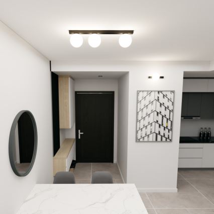 Lampa sufitowa FIT 3xE14/10W/230V czarna/biała
