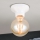 Lampa sufitowa FROST 1xE27/60W/230V biała