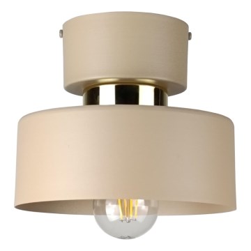 Lampa sufitowa IGNIA 1xE27/60W/230V beżowa