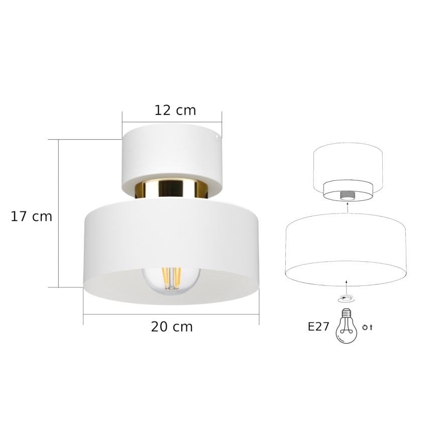 Lampa sufitowa IGNIA 1xE27/60W/230V biała/złota