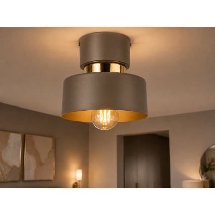 Lampa sufitowa IGNIA 1xE27/60W/230V brązowa/złota