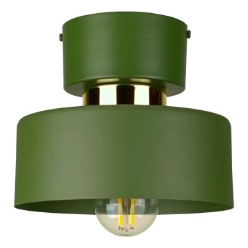 Lampa sufitowa IGNIA 1xE27/60W/230V zielona/złota